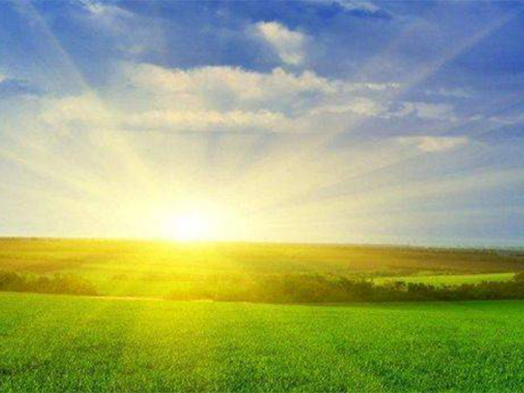 2020H1，錦州陽光戮力同心、運營達滿產