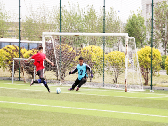 人文陽(yáng)光 | 燃情綠茵場(chǎng)！陽(yáng)光能源“陽(yáng)光杯足球賽”正式開賽