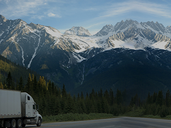 打造綠色典范工程！陽光能源助力中廣核新能源吉林白城項目順利開工